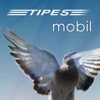 TIPES mobil