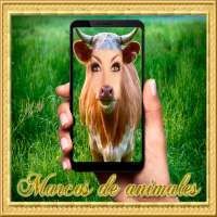 Montaje de marcos de animales - Ríe con tus amigos on 9Apps