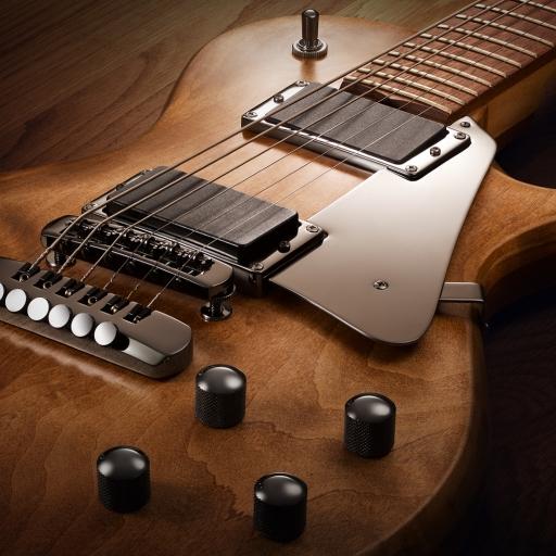 Guitar Setup Pro icon