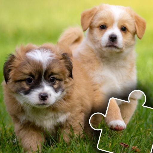 Dogs &amp; Cats Puzzles for kids &amp; toddlers 2 🐱🐩 icon