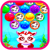 Kitten Bubble Shoot 2019 icon