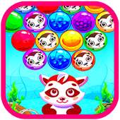 Kitten Bubble Shoot 2019