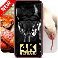 Snake Wallpaper 🐍 Cobra | Anaconda Picture 🐍 on 9Apps