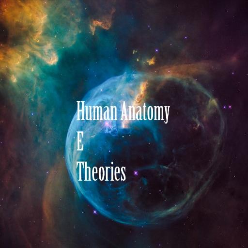 Human Anatomy E Theories иконка