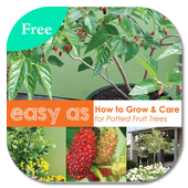 Easy DIY Growing Fruit Trees in Containner icon