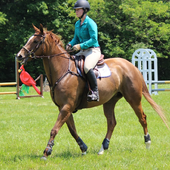 ikon Kuda Riding Free Game Jigsaw Puzzle