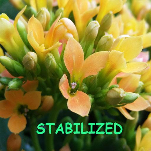 Camera Stabilizer Guide icon