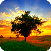 Sunrise / camera LIVE icon