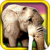 Safari Run - Jam Animal Runner icon