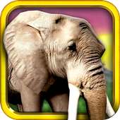 Safari Run - Jam Animal Runner