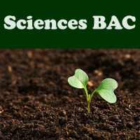 النبراس في العلوم الطبيعية BAC 2019 on 9Apps