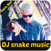 DJ Snake music icon