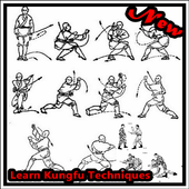 Learn Kung Fu Techniques icon