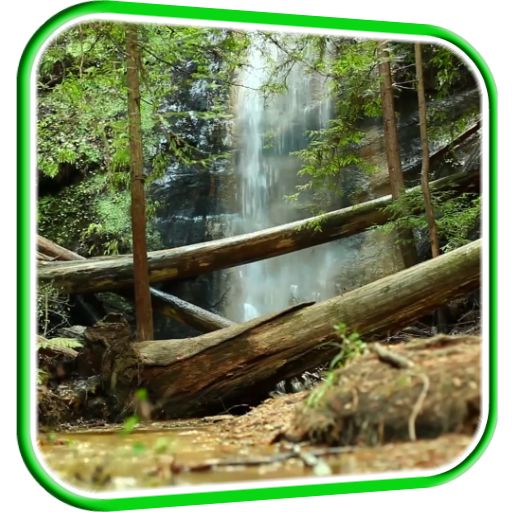 Waterfall in Forest LWP icon