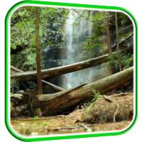 Waterfall in Forest LWP