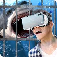 Swim Sharks In Cage VR Simulator