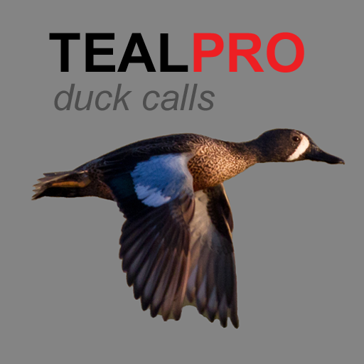Duck Calls for Teal icon