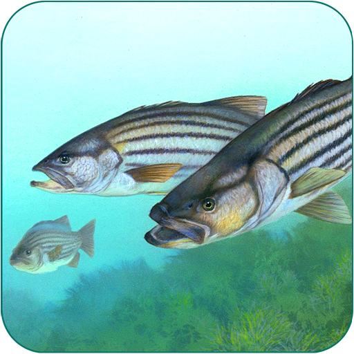 Fishing Fanatic - Fishing App with Solunar Charts icon