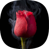 black Wallpapers icon