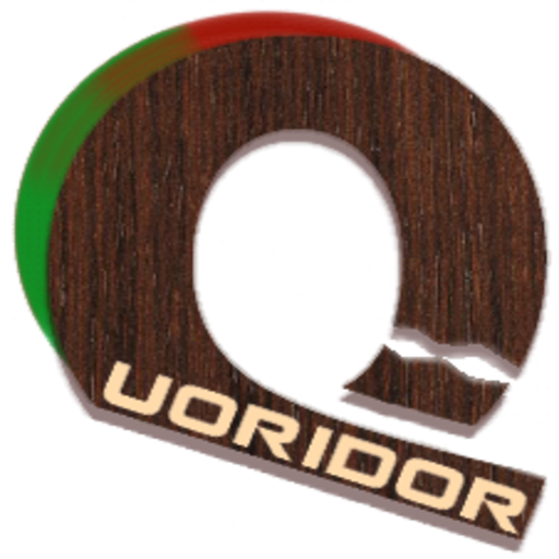 Quoridor Game icon
