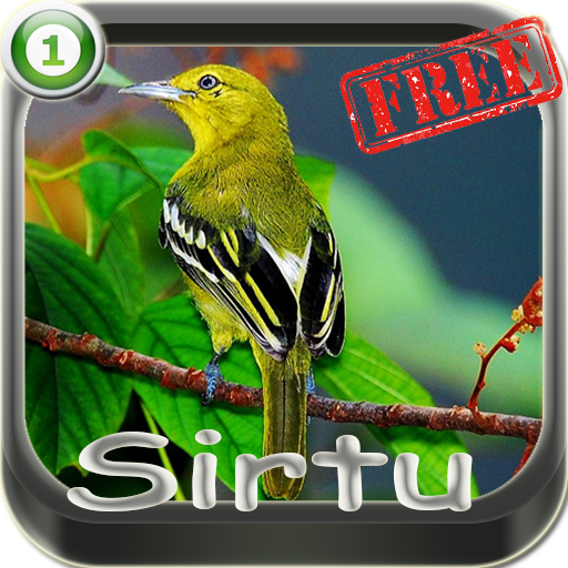 Suara Sirtu Master icon