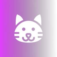 MyPet - Rede Social para Pets