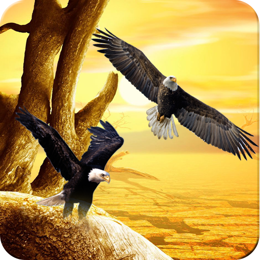 Eagle Wallpapers HD icon