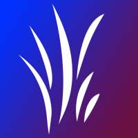 Tutorials For ShareChat Indian