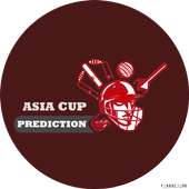 Cricket Prediction