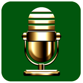 Voice Changer icon