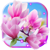 Spring Magnolia live wallpaper icon