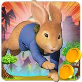 Peter Rabbit Adventure