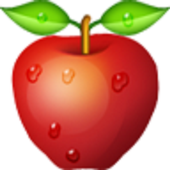 Apple Messanger icon