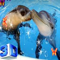 Dolphin Live Wallpaper - Screen Lock, Sensor, Auto on 9Apps