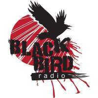 Black Bird Radio on 9Apps