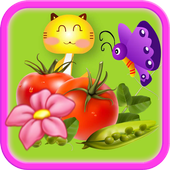 Bubble Fruits icon