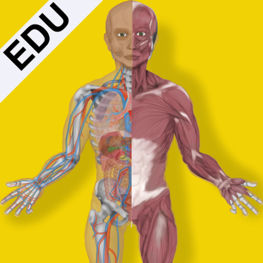 Inside The Human Body by Making Sense Games иконка