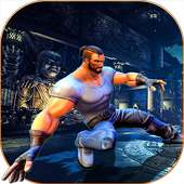 Street Karate Fighting Kungfu Saga King Fighter