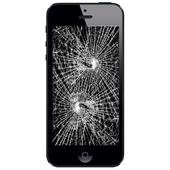 Destroy iPhone icon