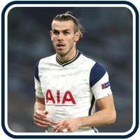 Bale-Wales Wallpaper on 9Apps