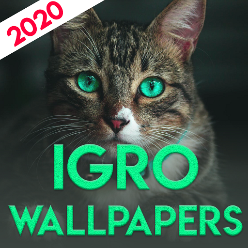 Cats  Wallpapers 4K [Backgrounds full HD] for cats icon