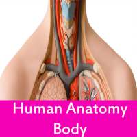 Human anatomy body on 9Apps