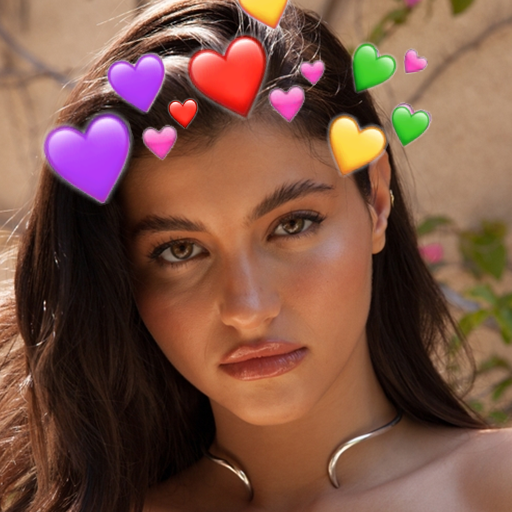 แอพแต่งรูป.มงกุฎดอกไม้ icon