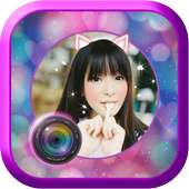 Camera Wink Plus HD on 9Apps