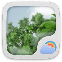 Windy Day Weather Widget Theme