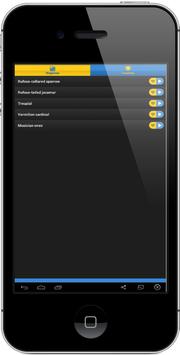 South American Birds Chirp screenshot 2