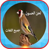 الحان طائر الحسون 2020 دون نت on 9Apps