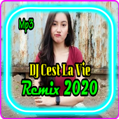 DJ C'EST LA VIE REMIX OFFLINE icon