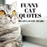 FUNNY CAT QUOTES