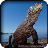 Varan Wallpapers icon